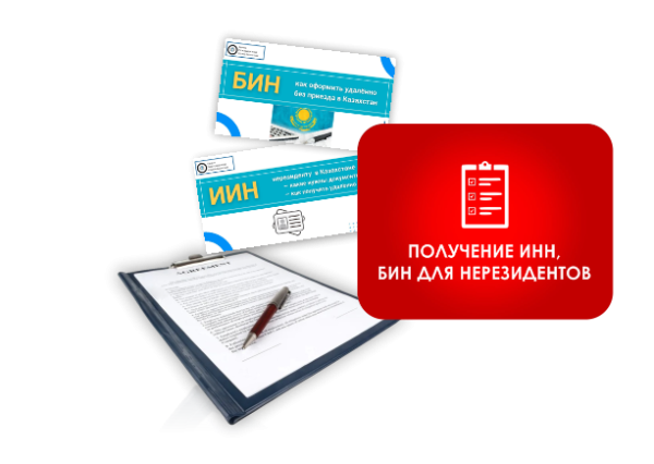 получение БИН